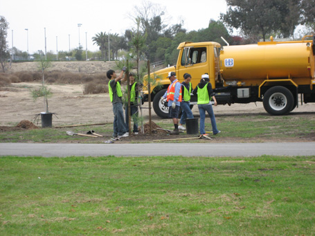 Volunteers plant a tree at a Huntington Beach Tree Society event.