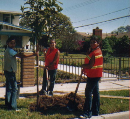 Volunteers plant trees in Orange, CA.