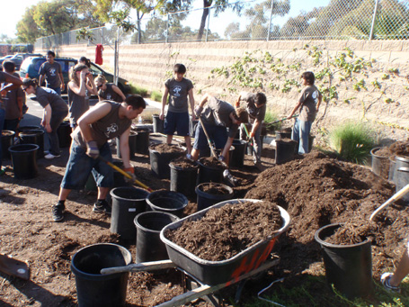 High school students volunteer to plant trees on their campus.