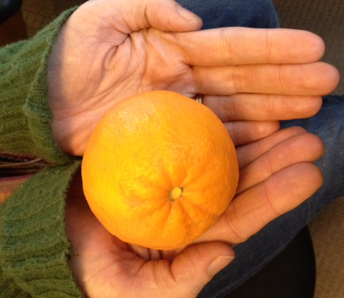 The First Orange of the Season