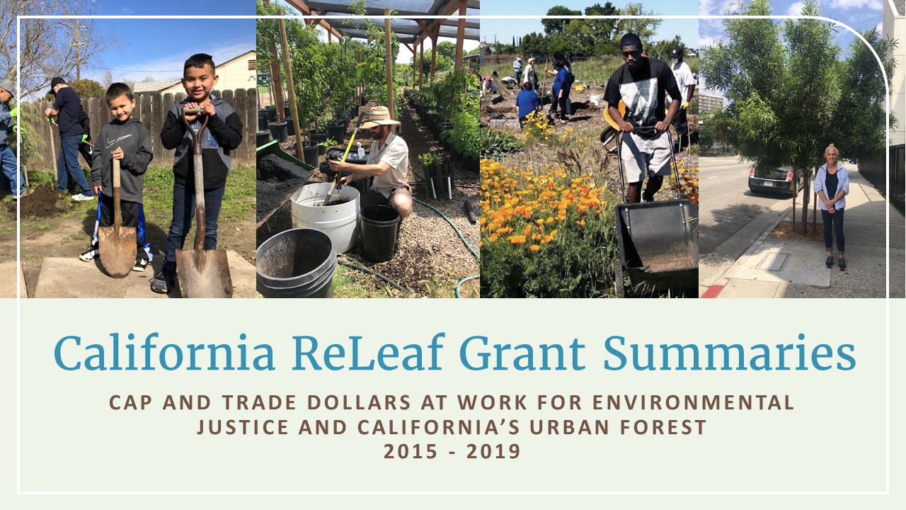 Download "California ReLeaf Grant Summaries" in PDF format