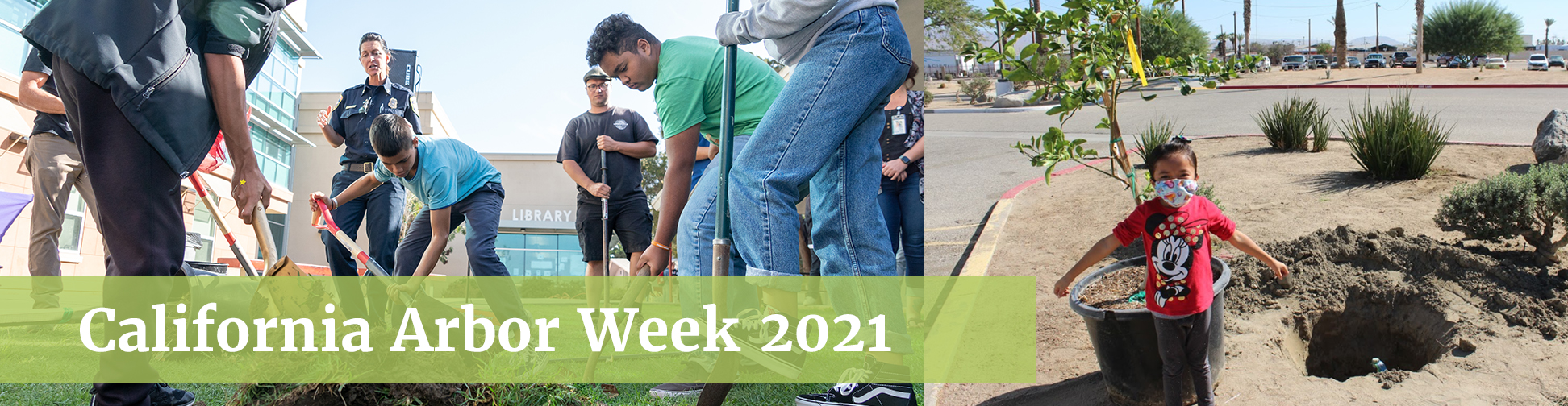 Arbor Week Grants 2021 Now Open!