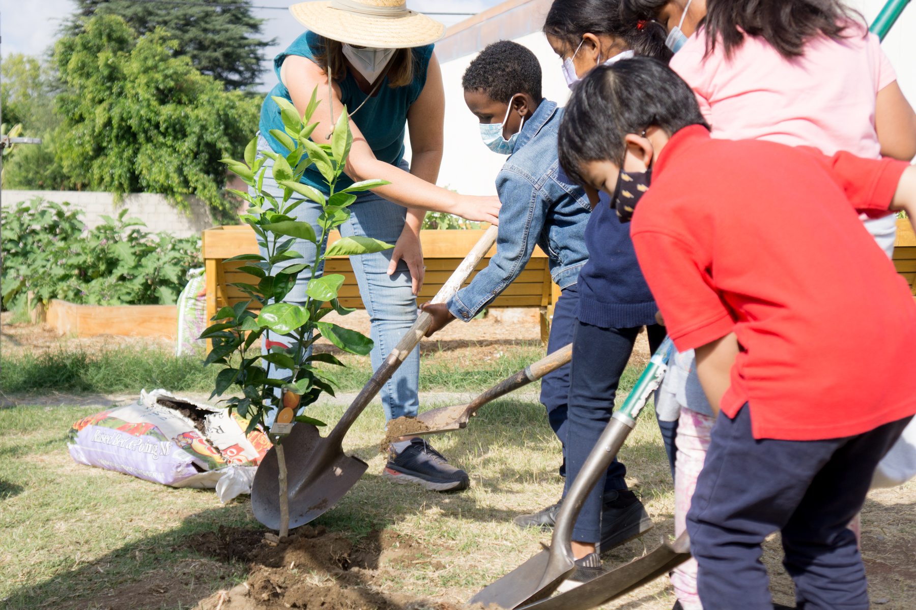 Children and adult planting a tree