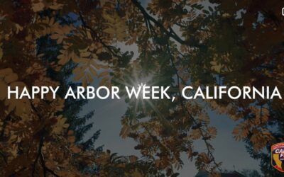 Cheers Arbor Week 2022 Grantees & Sponsors!