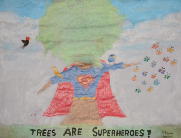Tree with a superman costume on with birds and butterflies surrounding it with words that read Trees are Superheroes