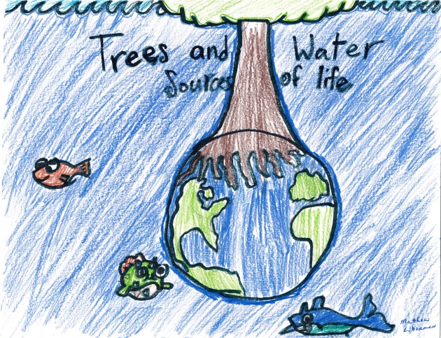 Artwork depicting a tree with roots growing around the earth with words that read Trees and Water Sources of Life
