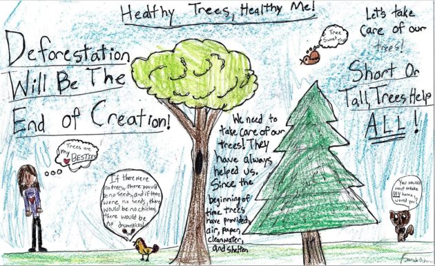 Artwork depicting trees, a girl, and animals with words that read Healthy Trees, Healthy Me!