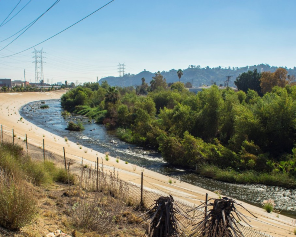 Benefits of Trees | California ReLeaf