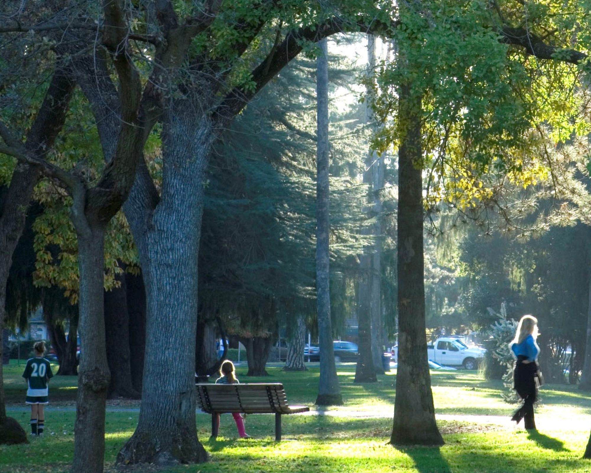 People sitting walking and exploring a park with trees