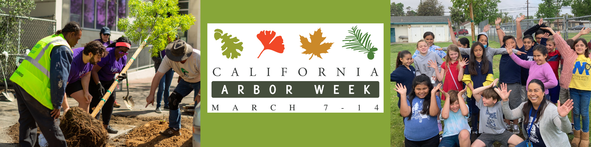 Arbor Week California ReLeaf