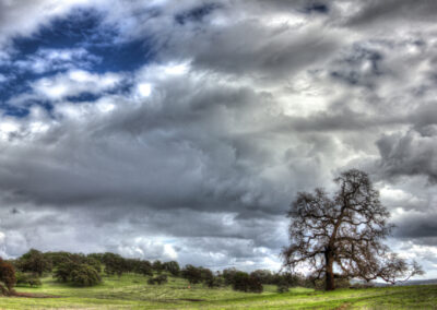 Image of clouds and trees
