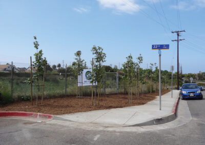 Image of street corner with newly planted trees.