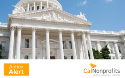 Advocacy: Improving Nonprofit-Government Contracting