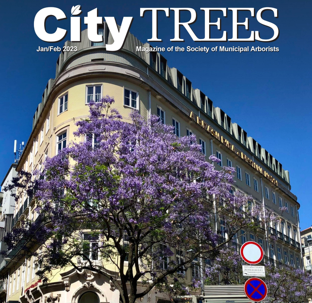 Cover of City Trees Magazine showing trees in an urban setting.