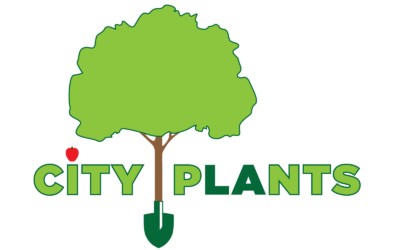 City Plants is Hiring an Executive Director