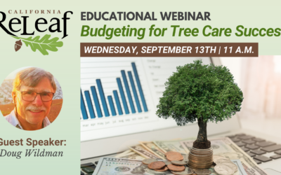 Upcoming Webinar: Budgeting for Tree Care Success – September 13th at 11 a.m.