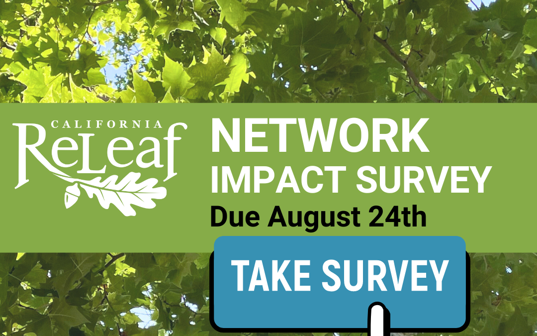 2023 Network Impact Survey