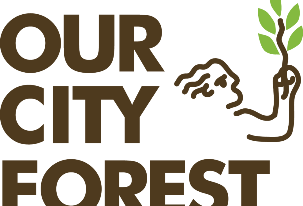 Our City Forest is Hiring Climate Action Leaders (AmeriCorps Positions)