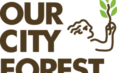Our City Forest is Hiring Climate Action Leaders (AmeriCorps Positions)