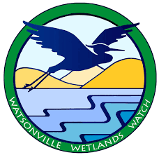 Logo Watsonville Wetlands Watch featuring an image of a bird flying over water.