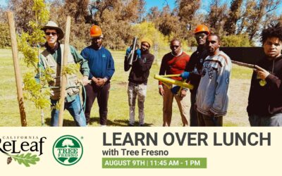 Learn Over Lunch with Tree Fresno – Recording Now Available