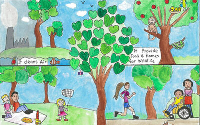 Pemenang Kontes Poster Remaja Arbor Week 2024 & Sebutan Terhormat
