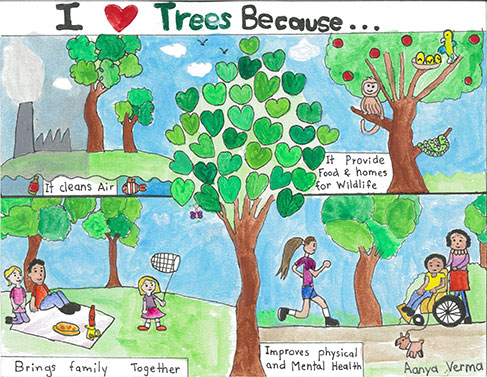 برندگان و جوایز افتخاری مسابقه پوستر جوانان هفته درختکاری 2024