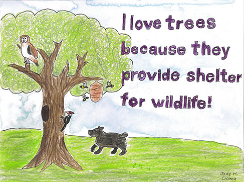 Zmagovalec natečaja za mladinski plakat Tedna drevesa 2024 Častna omemba. Umetnica Jade Chiang z drevesom in živalmi.
