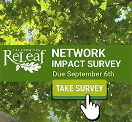 2024 Network Impact Survey