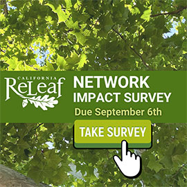 2024 Network Impact Survey