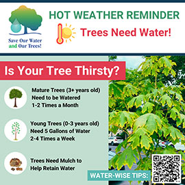 Save Our Water & Our Trees Graphic featuring an image of a drought stressed tree and words that read Hot Weather Reminder Trees Need Water! 