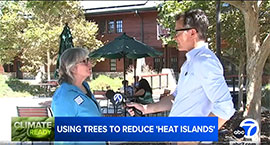 Image of Roby Hayes with ABC7 Los Angeles Interviewing Cindy Blain, California ReLeaf's Executive Director at the Urban Forestry Symposium on September 5th in Los Angeles.