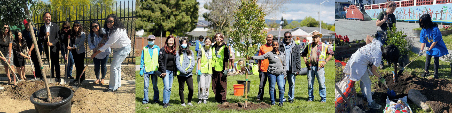 California ReLeaf Growing Green Communities Grantees planting trees