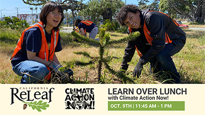 Learn Over Lunch with Climate Action Now! Recording Now Available