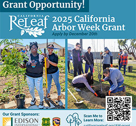 Announcing 2025 California Arbor Week Small Grant Funding Opportunity