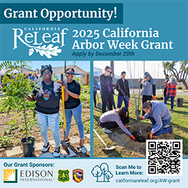 Announcing 2025 California Arbor Week Small Grant Funding Opportunity