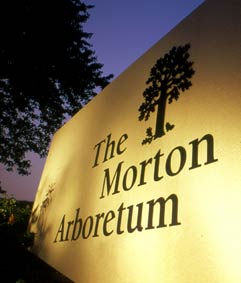 Morton Arboretum Job Opening – Community Trees Advocate